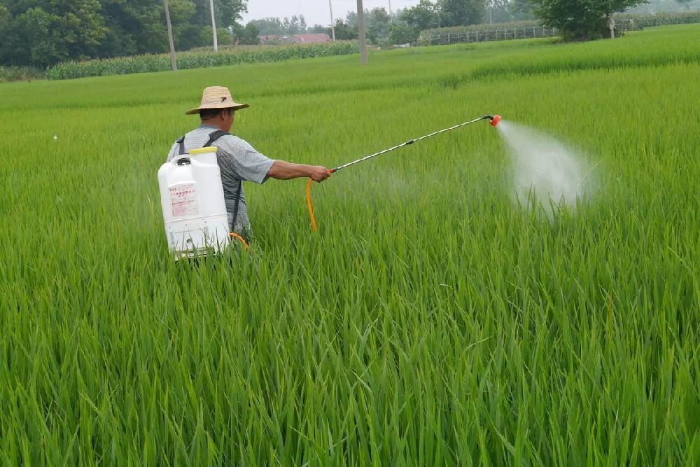 農(nóng)殘檢測(cè)儀器走進(jìn)幼兒園食堂